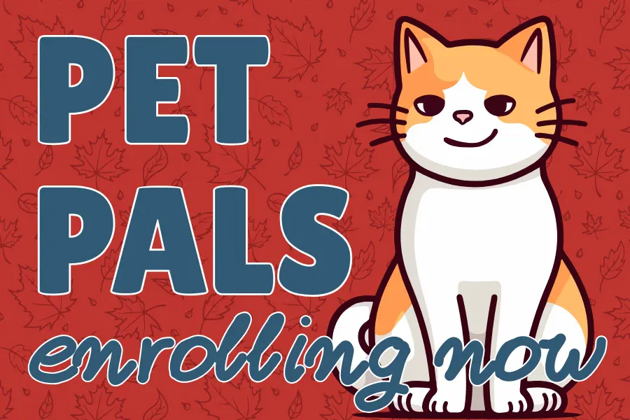 Orange and white cartoon cat on a red backround. Text: Pet Pals Enrolling Now